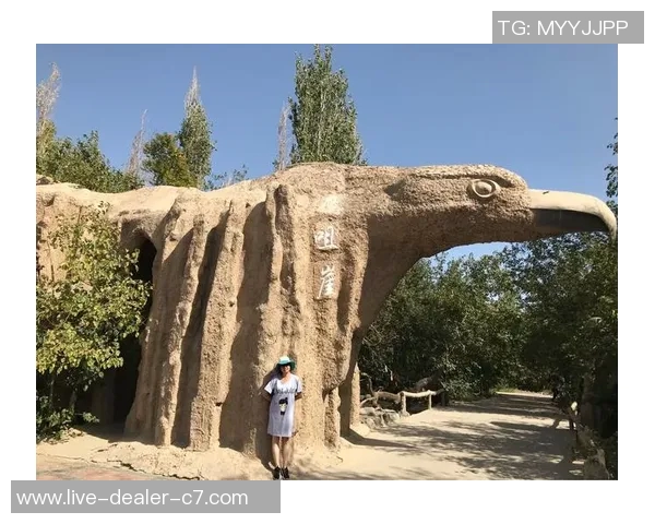 定言足球：探索足球战术与哲学的深度交融与实践之路